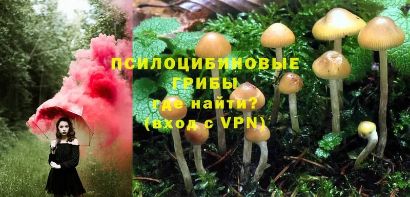 Псилоцибиновые грибы Magic Shrooms  продажа наркотиков  Североуральск 